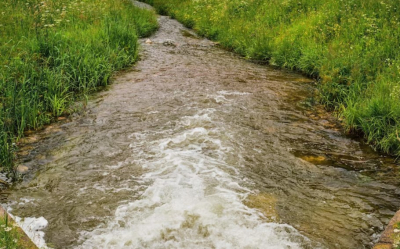 Аграрии южных регионов РК получили рекордный объем воды